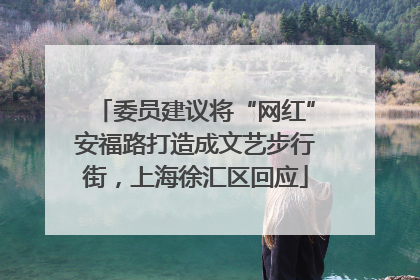 委员建议将“网红”安福路打造成文艺步行街,上海徐汇区回应