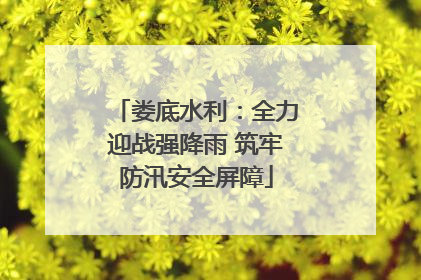 娄底水利：全力迎战强降雨 筑牢防汛安全屏障