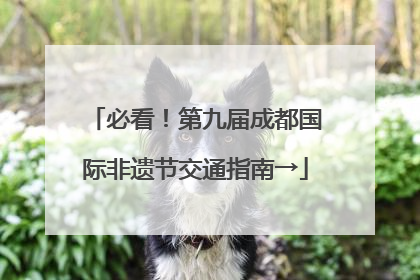 必看！第九届成都国际非遗节交通指南→