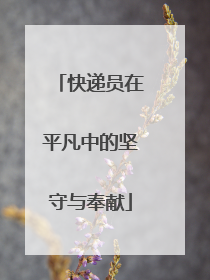 快递员在平凡中的坚守与奉献