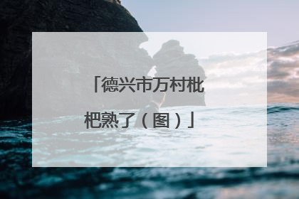 德兴市万村枇杷熟了（图）
