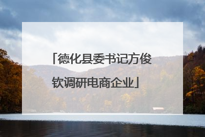 德化县委书记方俊钦调研电商企业