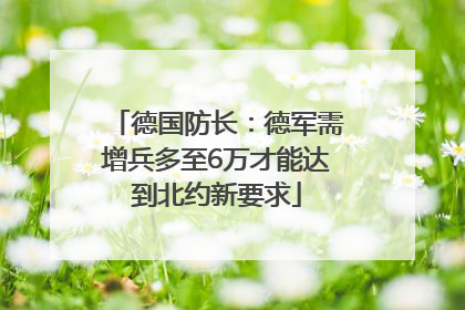 德国防长：德军需增兵多至6万才能达到北约新要求
