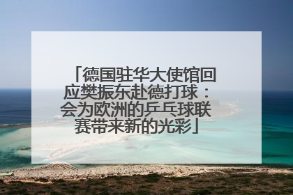 德国驻华大使馆回应樊振东赴德打球：会为欧洲的乒乓球联赛带来新的光彩