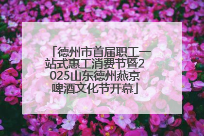 德州市首届职工一站式惠工消费节暨2025山东德州燕京啤酒文化节开幕