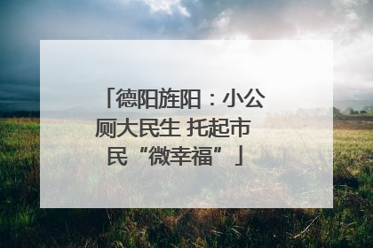 德阳旌阳：小公厕大民生 托起市民“微幸福”