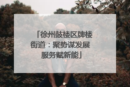徐州鼓楼区牌楼街道：聚势谋发展 服务赋新能