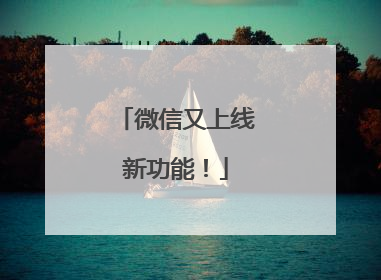 微信又上线新功能！