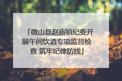 微山县赵庙镇纪委开展午间饮酒专项监督检查 筑牢纪律防线