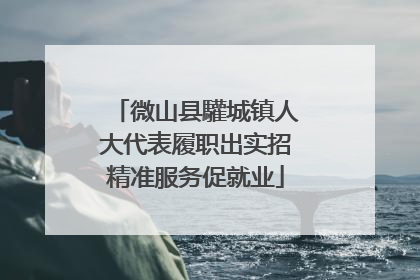 微山县驩城镇人大代表履职出实招精准服务促就业