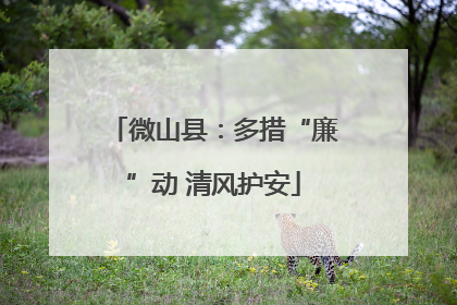 微山县：多措“廉”动 清风护安