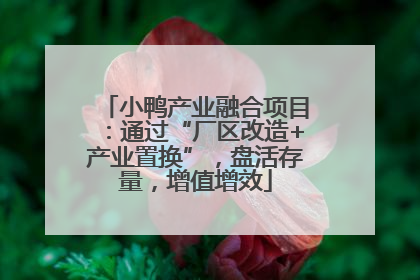 小鸭产业融合项目：通过“厂区改造+产业置换”，盘活存量，增值增效