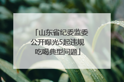 山东省纪委监委公开曝光5起违规吃喝典型问题