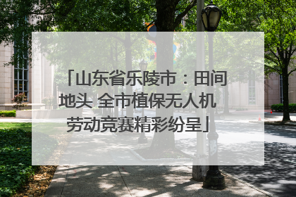 山东省乐陵市：田间地头 全市植保无人机劳动竞赛精彩纷呈