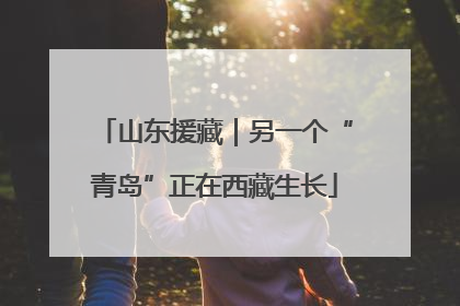 山东援藏｜另一个“青岛”正在西藏生长