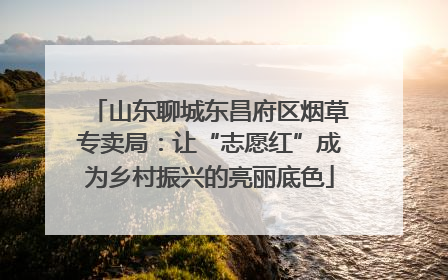 山东聊城东昌府区烟草专卖局：让“志愿红”成为乡村振兴的亮丽底色