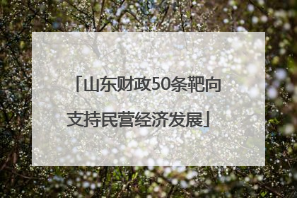 山东财政50条靶向支持民营经济发展