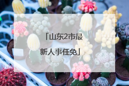 山东2市最新人事任免