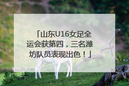 山东U16女足全运会获第四，三名潍坊队员表现出色！