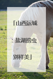 山西运城：盐湖捞虫别样美