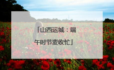 山西运城：端午时节麦收忙