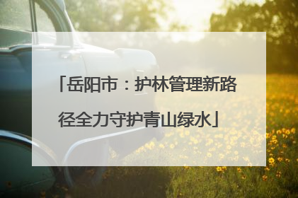 岳阳市：护林管理新路径全力守护青山绿水
