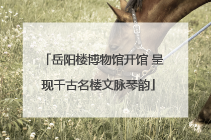岳阳楼博物馆开馆 呈现千古名楼文脉琴韵