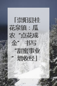 崇阳县桂花泉镇：瓜农“点花成金” 书写“甜蜜事业”增收经