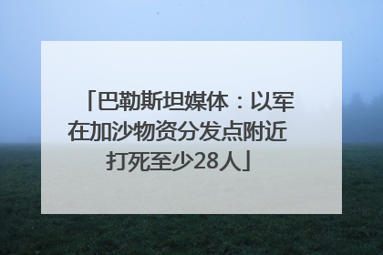 巴勒斯坦媒体：以军在加沙物资分发点附近打死至少28人