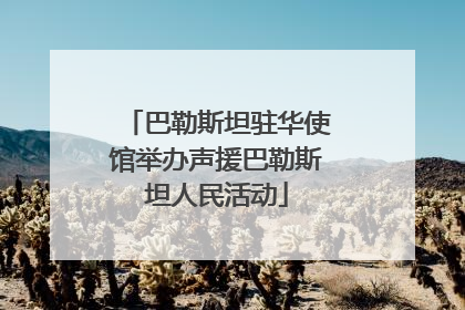 巴勒斯坦驻华使馆举办声援巴勒斯坦人民活动
