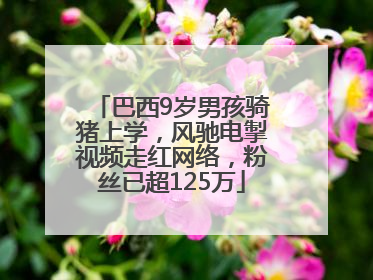 巴西9岁男孩骑猪上学，风驰电掣视频走红网络，粉丝已超125万
