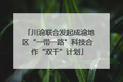 川渝联合发起成渝地区“一带一路”科技合作“双千”计划
