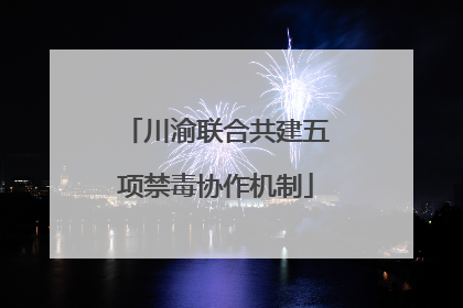 川渝联合共建五项禁毒协作机制