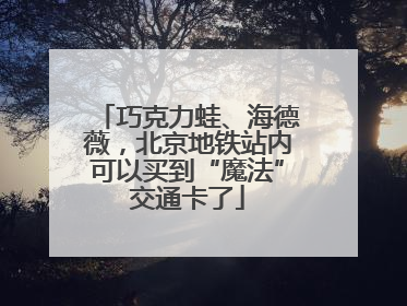 巧克力蛙、海德薇，北京地铁站内可以买到“魔法”交通卡了