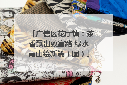 广信区花厅镇：茶香飘出致富路 绿水青山绘新篇（图）