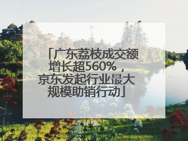 广东荔枝成交额增长超560%，京东发起行业最大规模助销行动