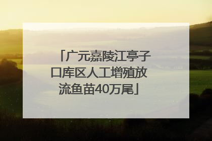 广元嘉陵江亭子口库区人工增殖放流鱼苗40万尾