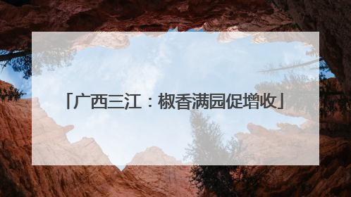 广西三江：椒香满园促增收