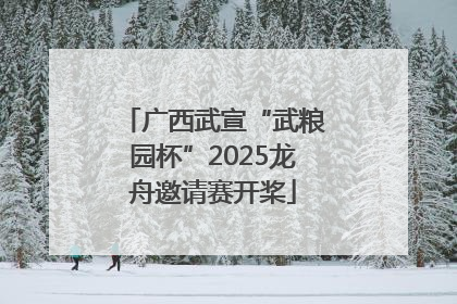 广西武宣“武粮园杯”2025龙舟邀请赛开桨