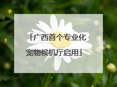 广西首个专业化宠物候机厅启用