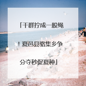干群拧成一股绳！夏邑县骆集乡争分夺秒促夏种