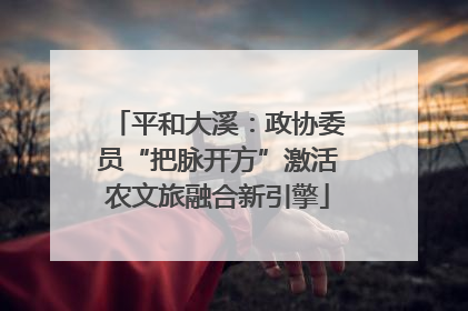 平和大溪：政协委员“把脉开方”激活农文旅融合新引擎