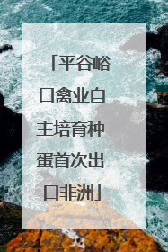 平谷峪口禽业自主培育种蛋首次出口非洲