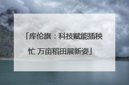库伦旗：科技赋能插秧忙 万亩稻田展新姿