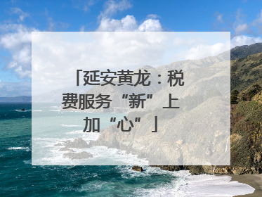 延安黄龙：税费服务“新”上加“心”