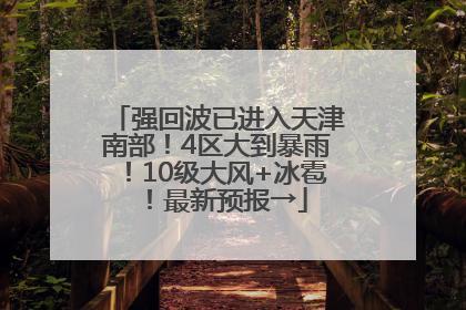 强回波已进入天津南部！4区大到暴雨！10级大风+冰雹！最新预报→