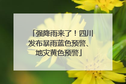 强降雨来了！四川发布暴雨蓝色预警、地灾黄色预警