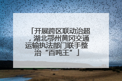 开展跨区联动治超，湖北鄂州黄冈交通运输执法部门联手整治“百吨王”