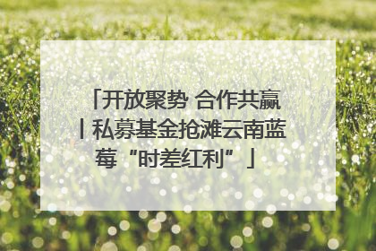 开放聚势 合作共赢丨私募基金抢滩云南蓝莓“时差红利”