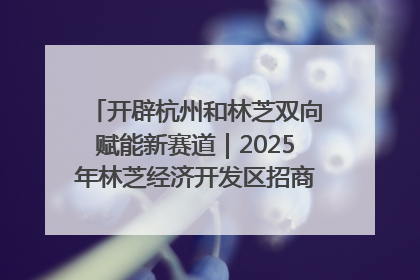 开辟杭州和林芝双向赋能新赛道｜2025年林芝经济开发区招商引资（杭州）推介展销活动在杭举办